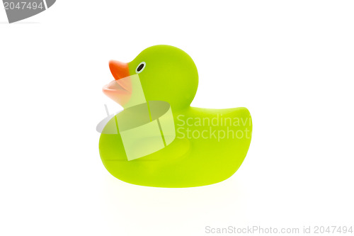 Image of Green duck isolated