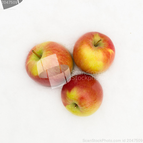 Image of Red apples in the snow