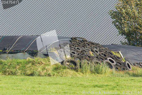 Image of Haylage under plastic and car tires