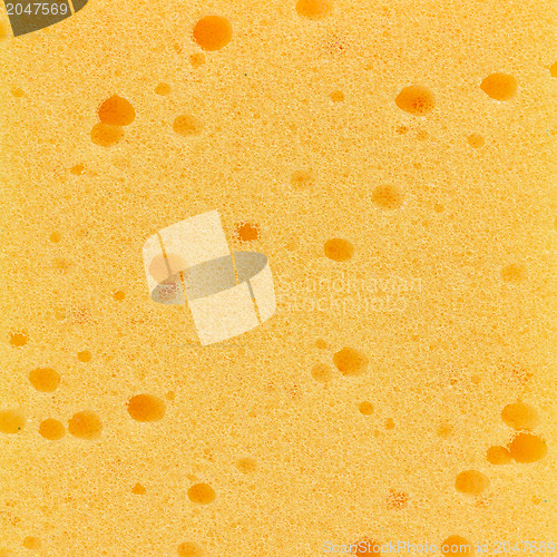 Image of Kitchen sponge isolated