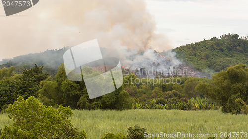 Image of Starting forrest fire with lots of smoke