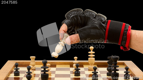 Image of Playing chess in freefight gloves, isolated