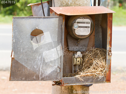 Image of Nest of a sparrow in a cabinet with electrical meter 