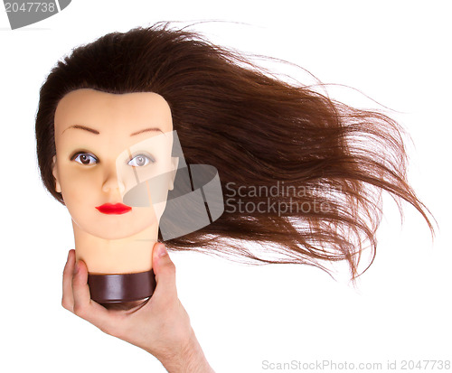 Image of Hand holding a puppet (hair styling)