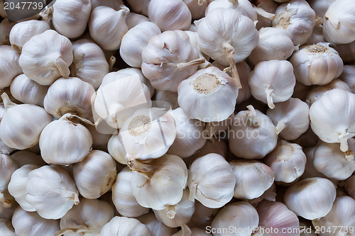 Image of Close up of garlic on market stand