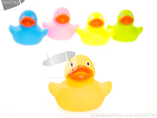 Image of Rubber ducks isolated