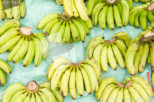 Image of Green banana for sale on a Vietnamese market