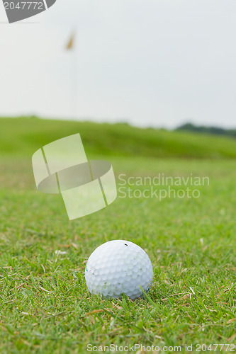 Image of Golf ball on grass