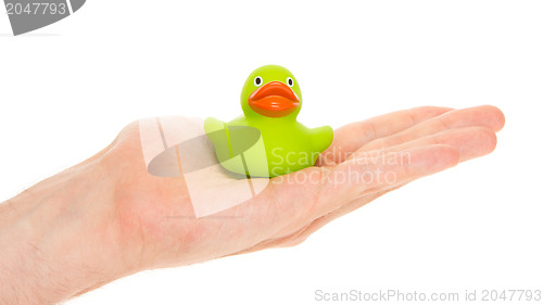 Image of Green rubber duck on a hand