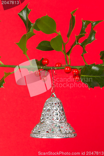 Image of Old silver bells hanging in Butcher's broom