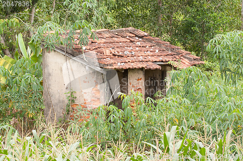 Image of Old abandoned stone cabin in the jungle