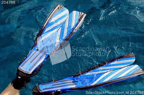 Image of Ready to Snorkel