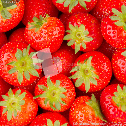 Image of Fresh strawberry 