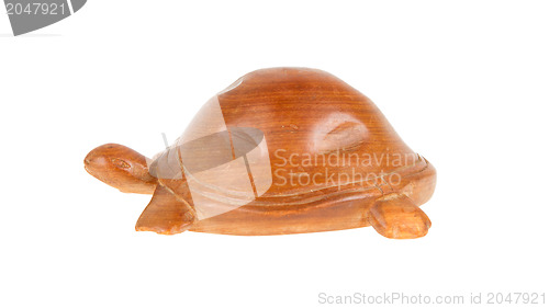 Image of Wooden turtle, isolated