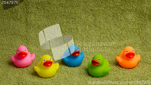 Image of Rubber ducks isolated, with room for text