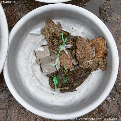 Image of Toads for consumption are being sold on a Vietnamese market