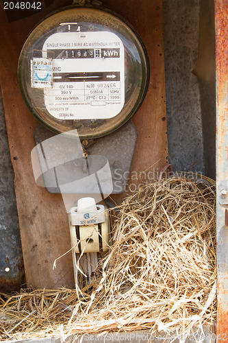 Image of Nest of a sparrow in a cabinet with electrical meter 