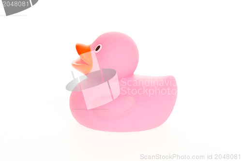 Image of Pink duck isolated