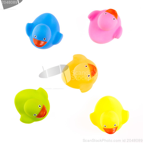 Image of Rubber ducks isolated