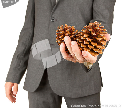 Image of Man in grey suit is holding two pine cones