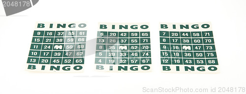 Image of Green bingo cards isolated