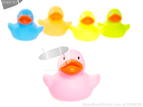 Image of Rubber ducks isolated