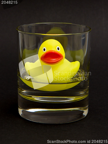 Image of Yellow rubber duck in a whiskyglass 