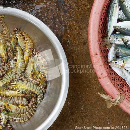 Image of Live and very fresh tigerprawns and sardines and sardines at a V