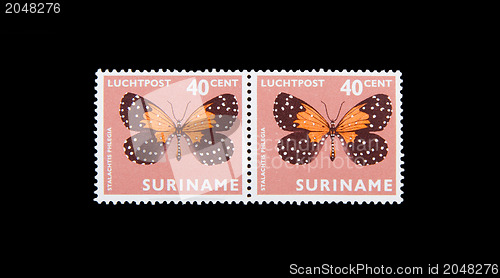 Image of SURINAME - CIRCA 1960: Stamps printed by Suriname, shows butterf