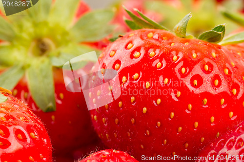 Image of Fresh strawberry 