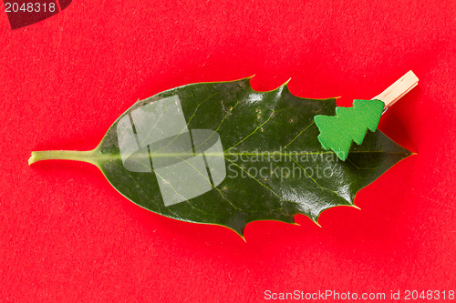 Image of Small clothes pin with a christmas tree on a leaf (butchers broo