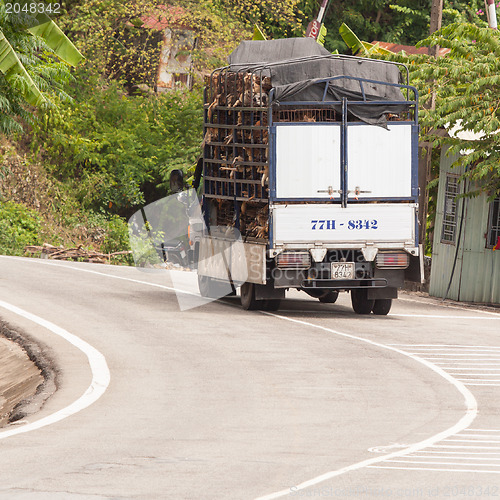 Image of HUÉ, VIETNAM - AUG 4: Trailer filled with live dogs destined fo