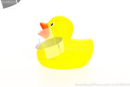 Image of Yellow duck isolated