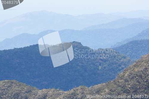 Image of View of a the Vietnamese jungle