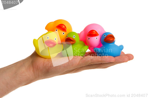 Image of Rubber ducks isolated