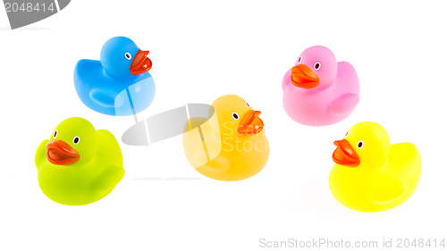 Image of Rubber ducks isolated