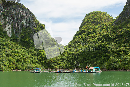 Image of Floating fisherman's village in ha long bay