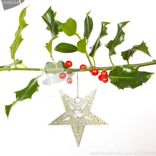 Image of Very old silver star hanging from a twig (butchers broom)