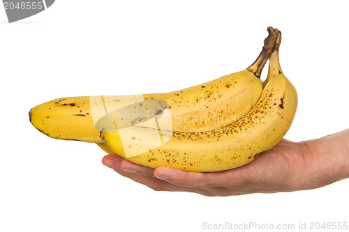 Image of Hand full of bananas