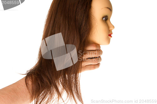 Image of Hand holding a puppet (hair styling)