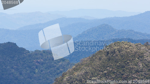 Image of View of a the Vietnamese jungle