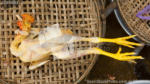 Image of Chicken for consumption on a market