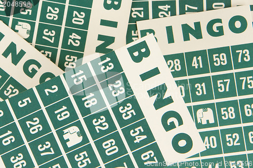Image of Green bingo cards isolated