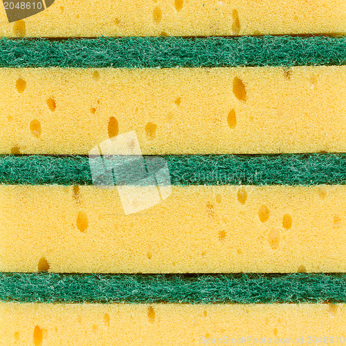 Image of Kitchen sponge isolated