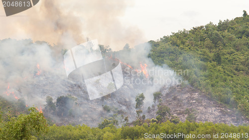 Image of Starting forrest fire with lots of smoke