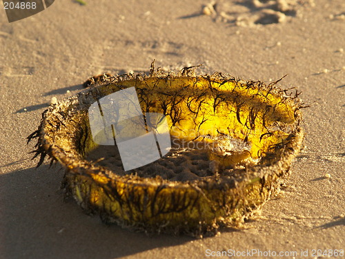 Image of Sand toys