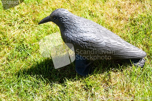 Image of Plastic Bird