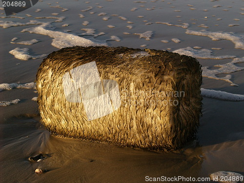 Image of Hairy container