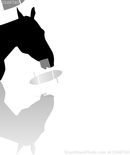 Image of sillhouette of a horse head with reflection