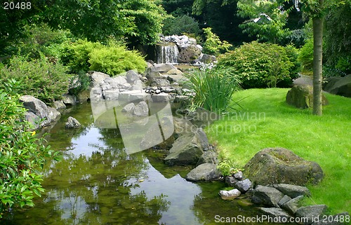 Image of Japanese water garden